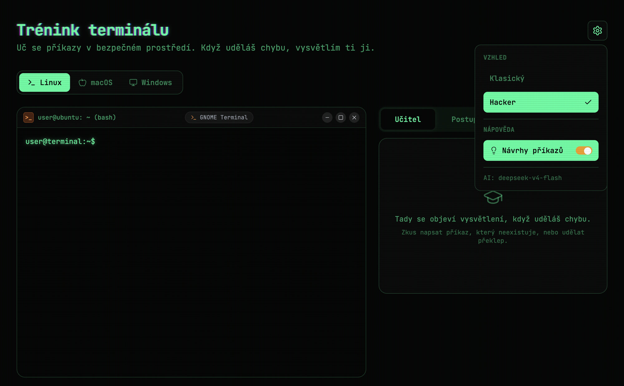 Screenshot projektu Terminall
